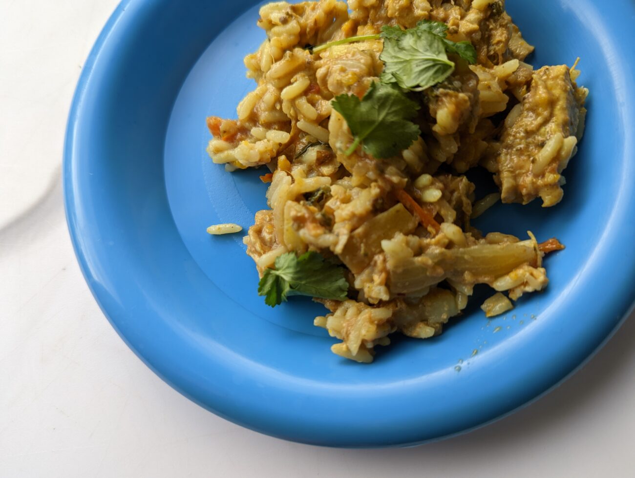 Slow Cooked Turkey Curry And Rice